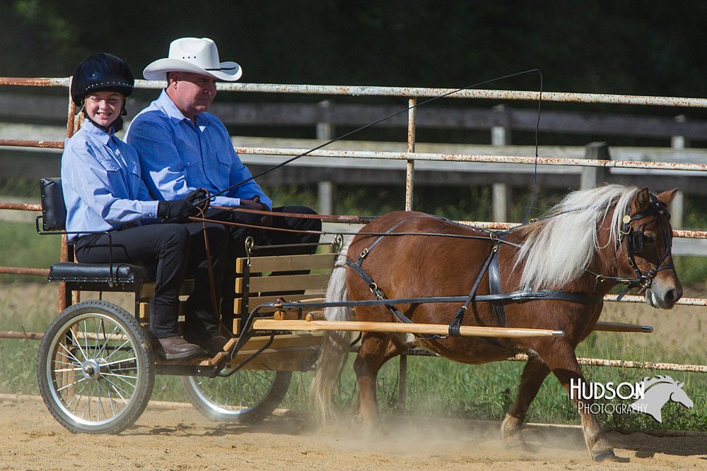 4H-Distr-090713-0656.jpg