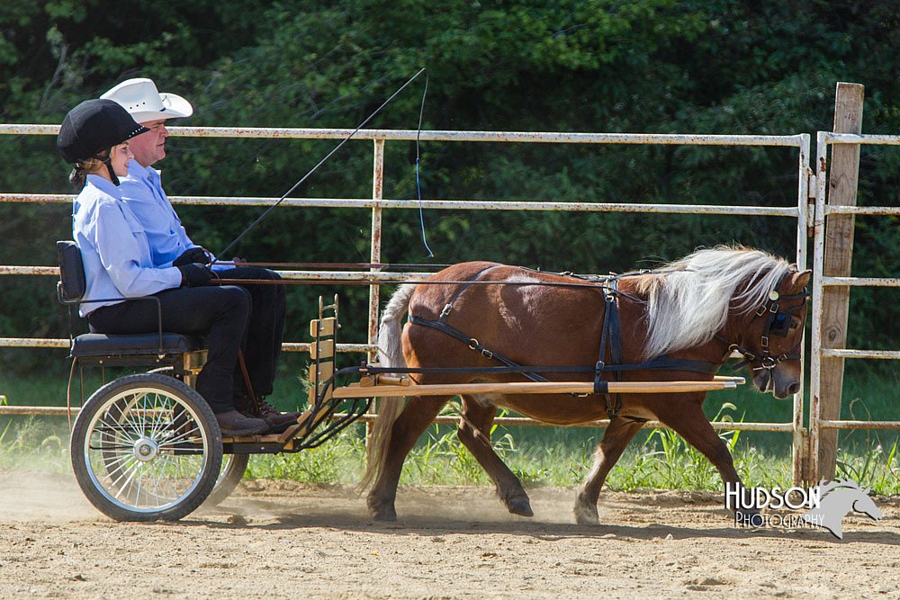 4H-Distr-090713-0657.jpg