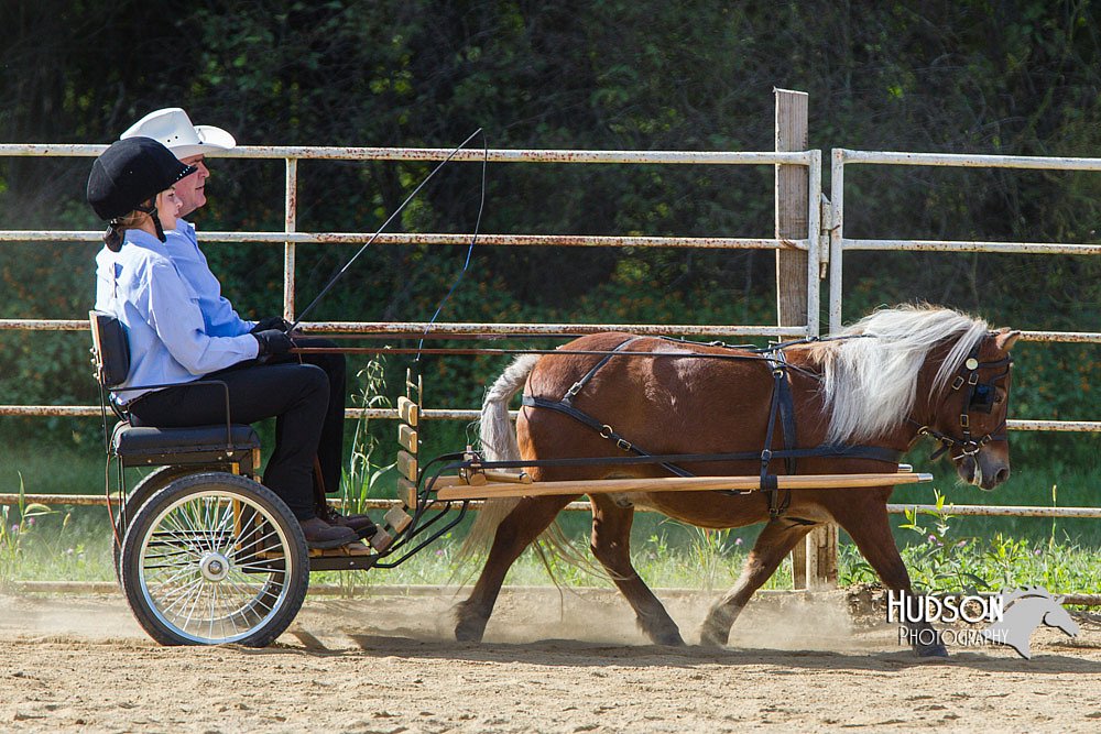 4H-Distr-090713-0659.jpg