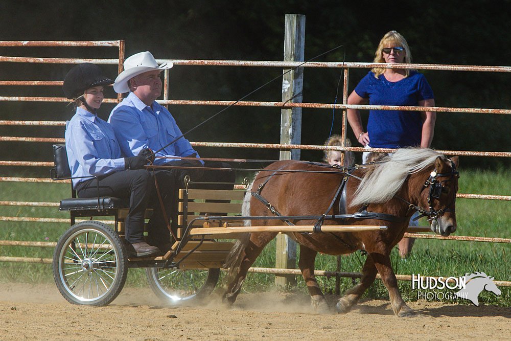 4H-Distr-090713-0660.jpg