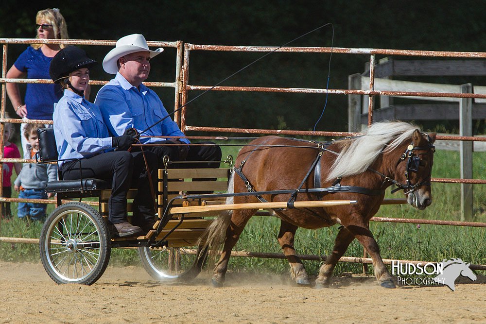 4H-Distr-090713-0661.jpg