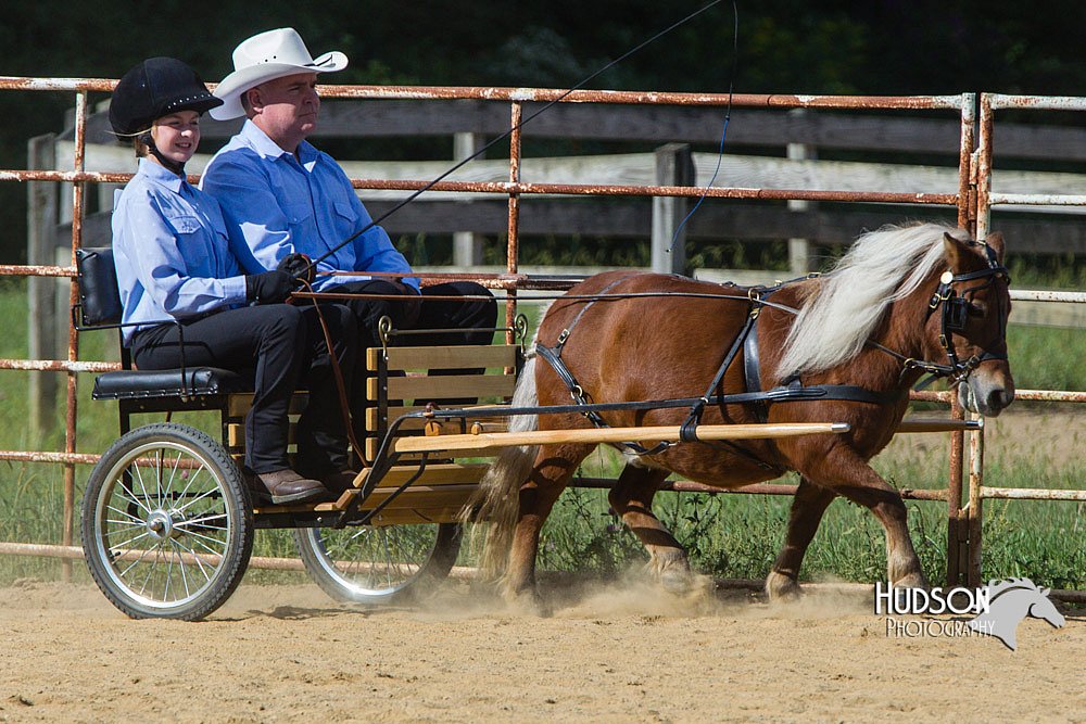 4H-Distr-090713-0662.jpg