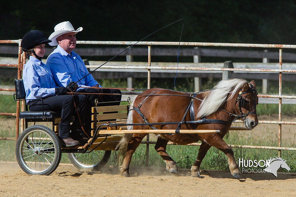 4H-Distr-090713-0663.jpg