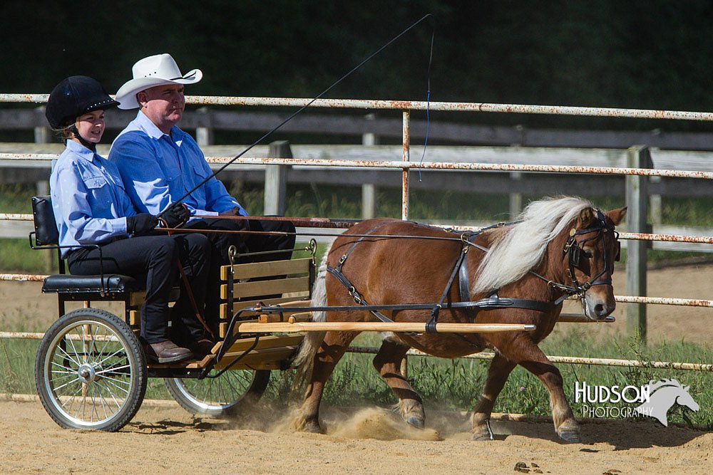 4H-Distr-090713-0664.jpg