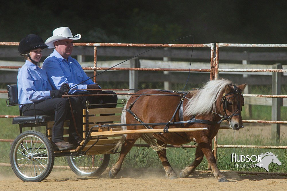 4H-Distr-090713-0666.jpg