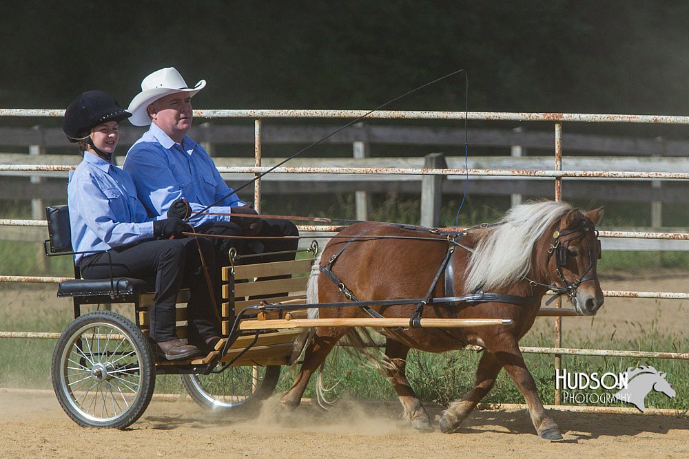 4H-Distr-090713-0667.jpg