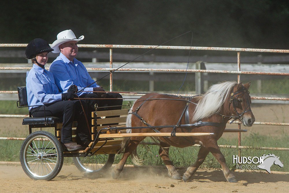 4H-Distr-090713-0668.jpg