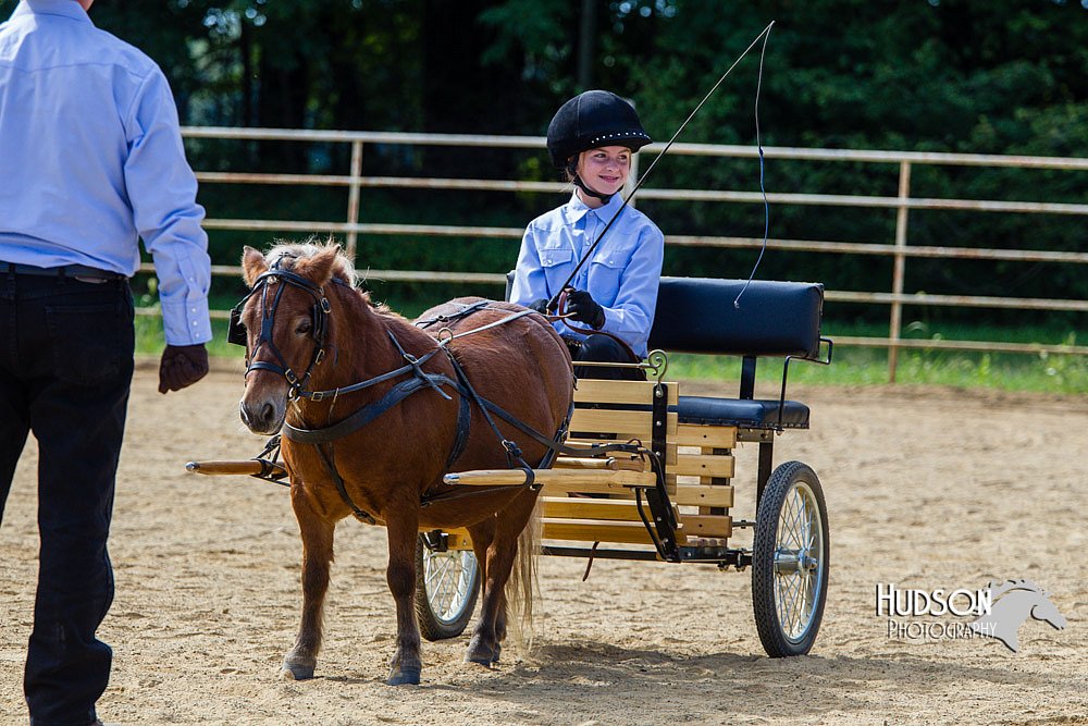 4H-Distr-090713-0669.jpg
