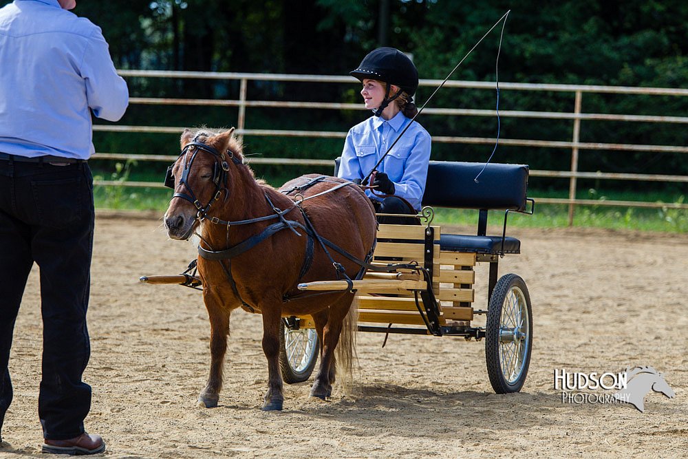 4H-Distr-090713-0671.jpg