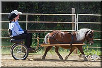 4H-Distr-090713-0659.jpg
