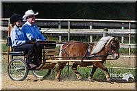 4H-Distr-090713-0663.jpg