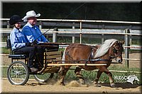 4H-Distr-090713-0664.jpg