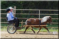 4H-Distr-090713-0665.jpg