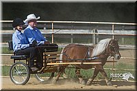 4H-Distr-090713-0668.jpg