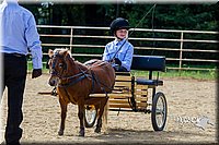 4H-Distr-090713-0669.jpg