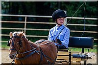 4H-Distr-090713-0670.jpg