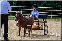 4H-Distr-090713-0671.jpg