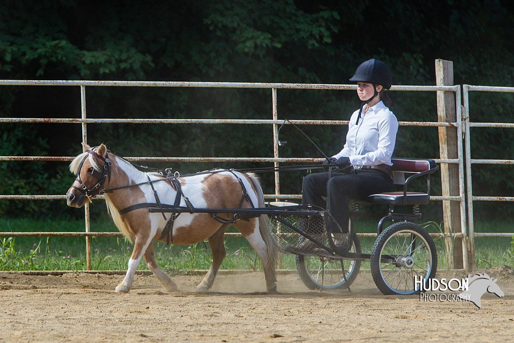 4H-Distr-090713-0674.jpg
