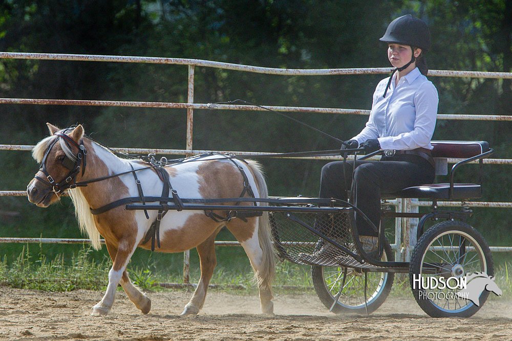 4H-Distr-090713-0677.jpg