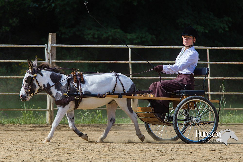 4H-Distr-090713-0681.jpg