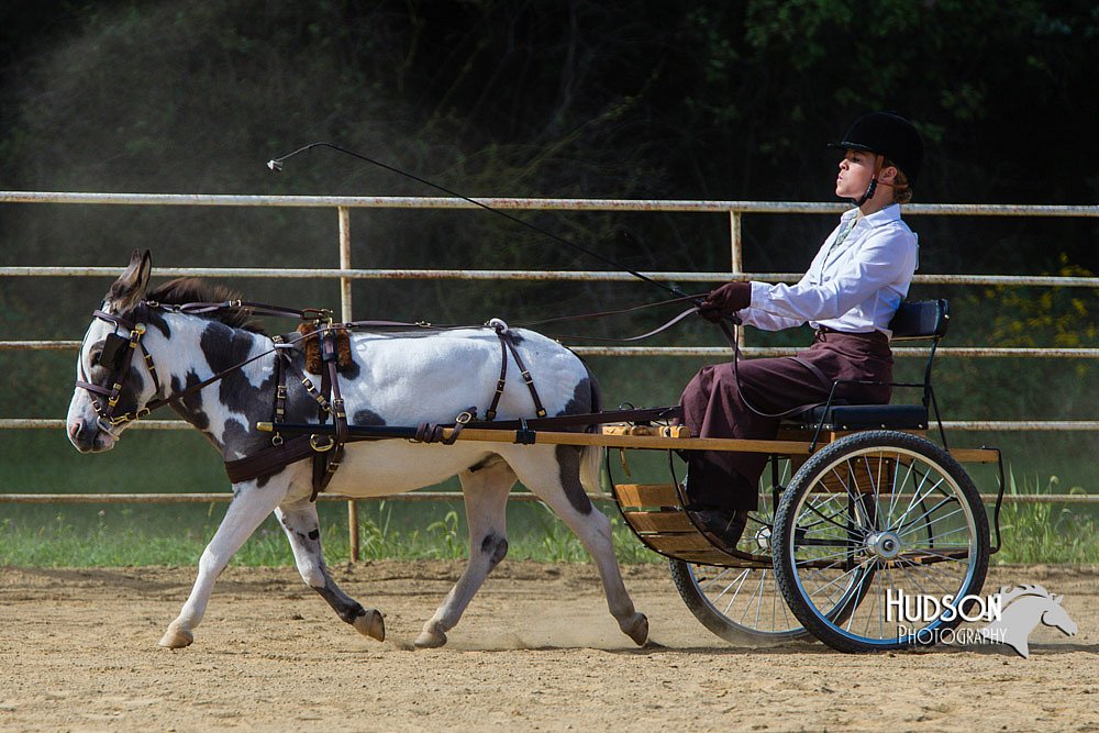 4H-Distr-090713-0682.jpg