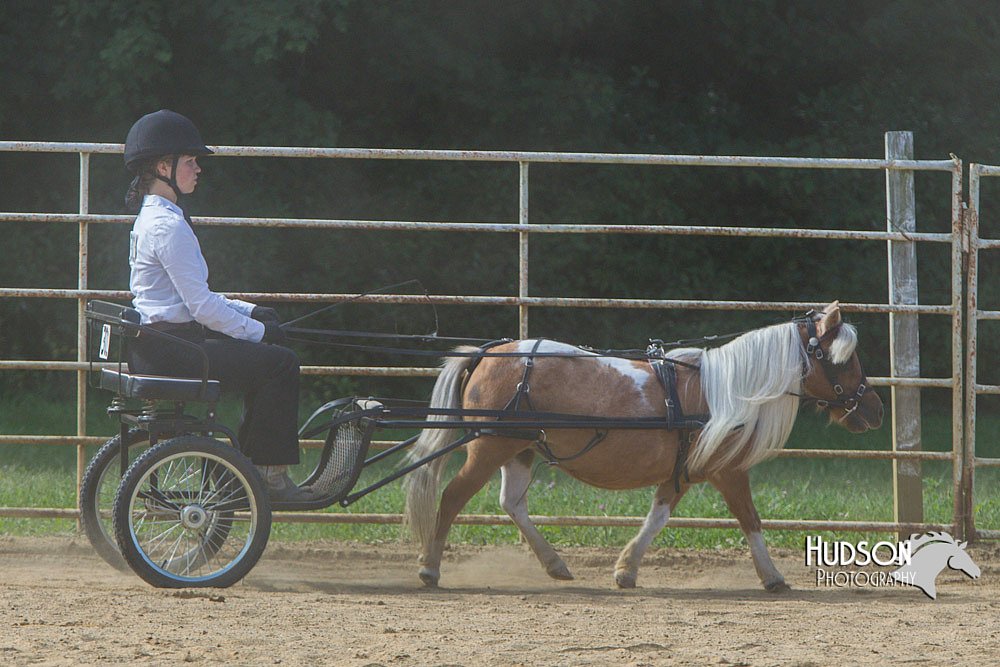 4H-Distr-090713-0685.jpg