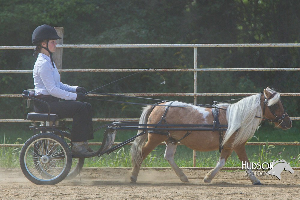 4H-Distr-090713-0688.jpg
