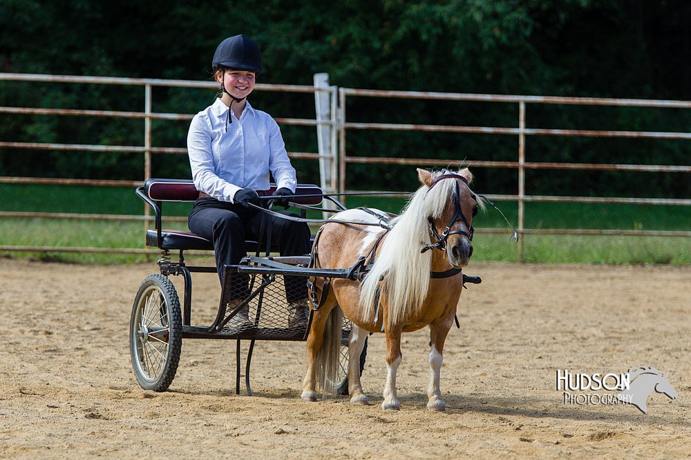 4H-Distr-090713-0690.jpg