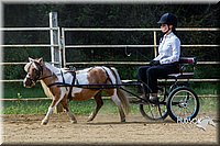 4H-Distr-090713-0675.jpg