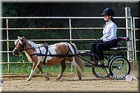 4H-Distr-090713-0676.jpg