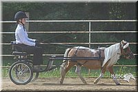 4H-Distr-090713-0688.jpg