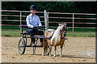 4H-Distr-090713-0690.jpg