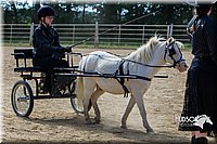 4H-Distr-090713-0694.jpg