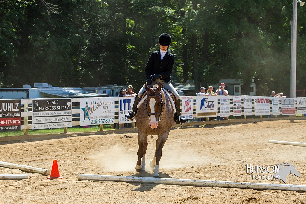 4H-Distr-090713-0809.jpg