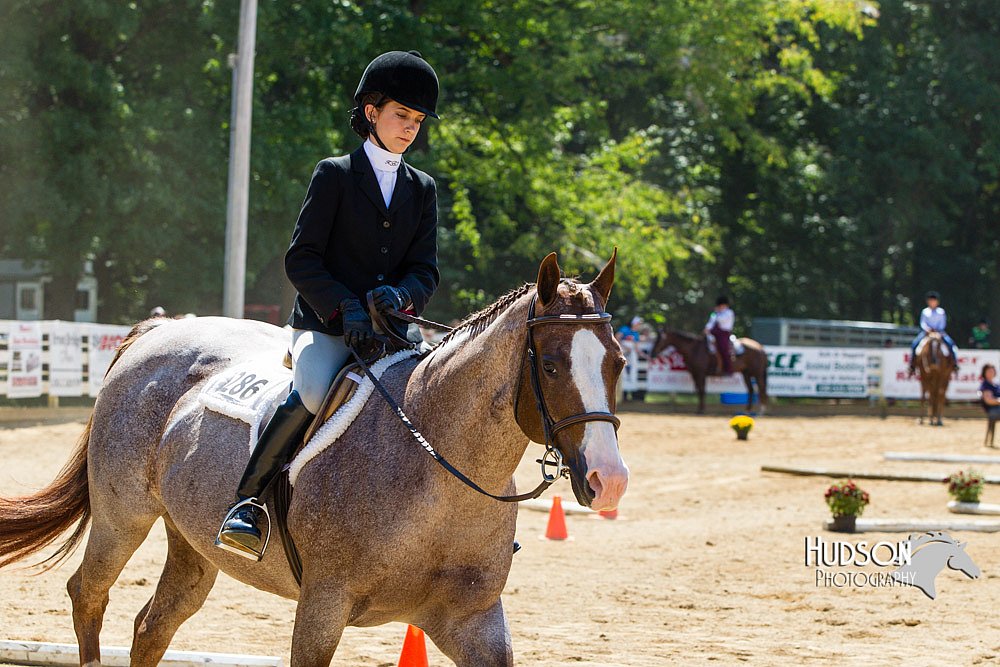 4H-Distr-090713-0810.jpg