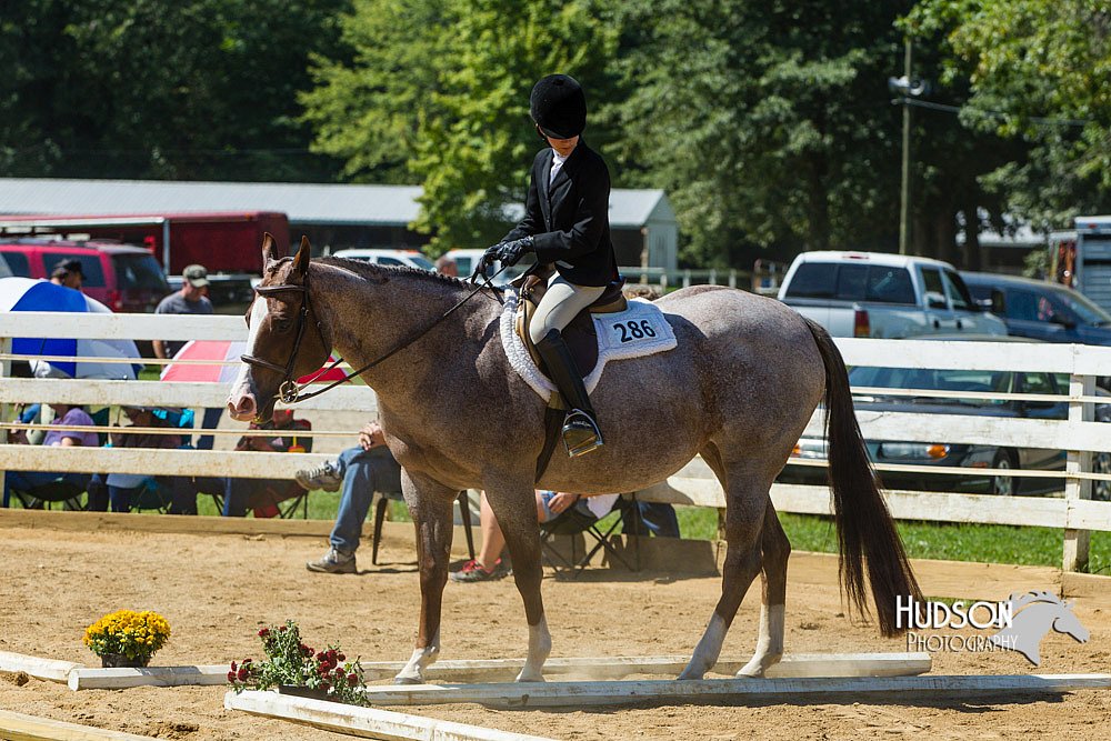 4H-Distr-090713-0811.jpg