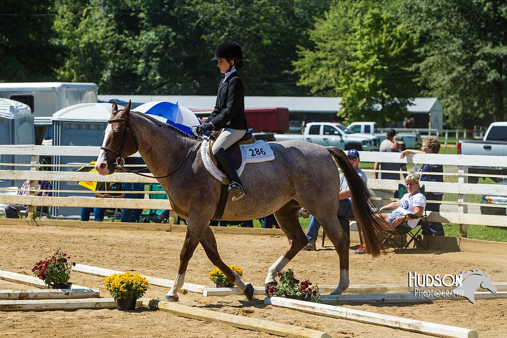4H-Distr-090713-0812.jpg