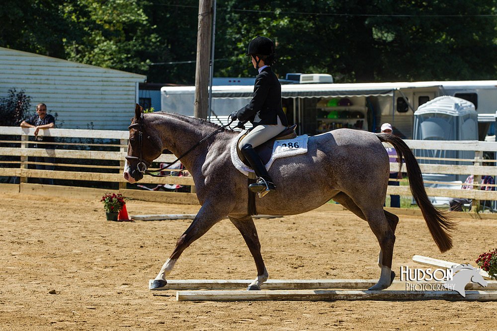 4H-Distr-090713-0813.jpg