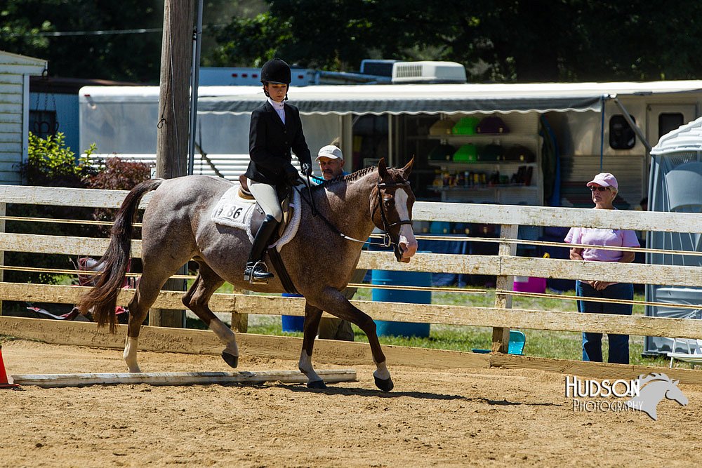 4H-Distr-090713-0814.jpg
