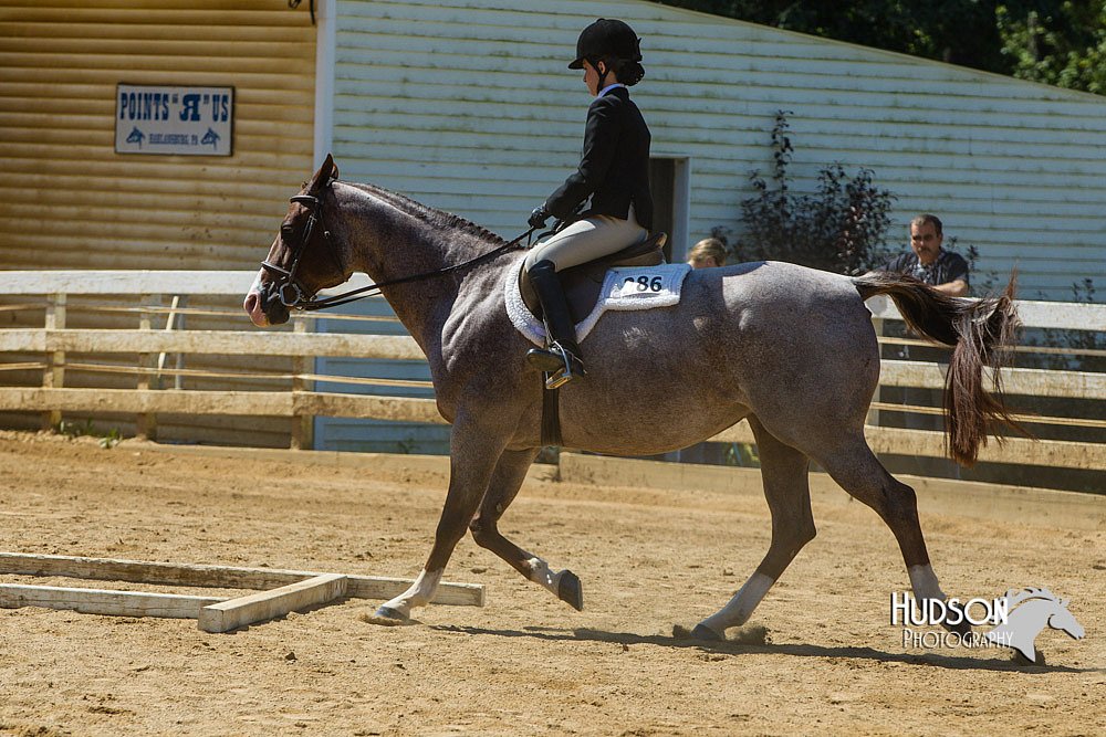 4H-Distr-090713-0816.jpg