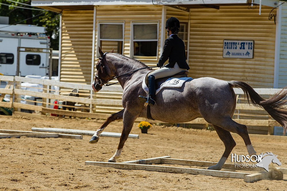 4H-Distr-090713-0817.jpg