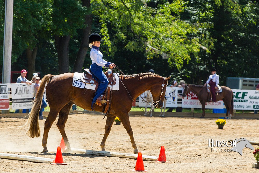4H-Distr-090713-0827.jpg