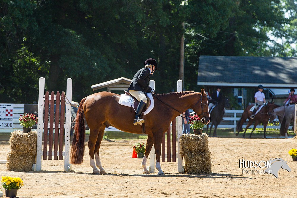 4H-Distr-090713-0747.jpg