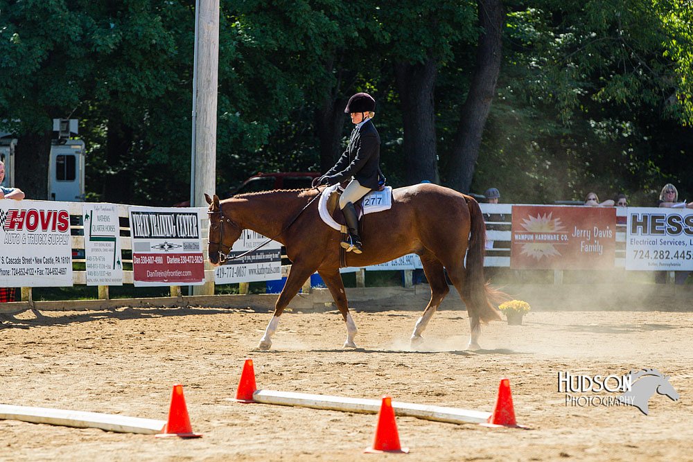 4H-Distr-090713-0749.jpg