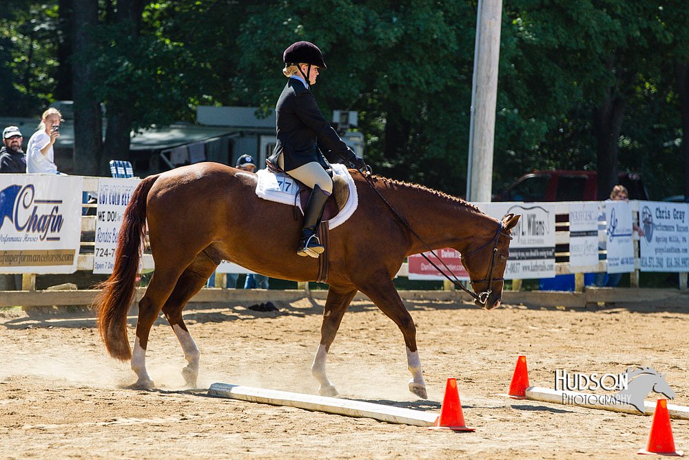 4H-Distr-090713-0751.jpg