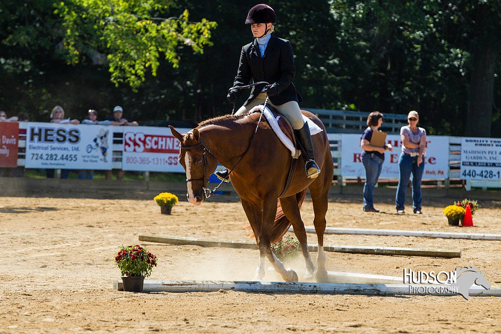 4H-Distr-090713-0752.jpg