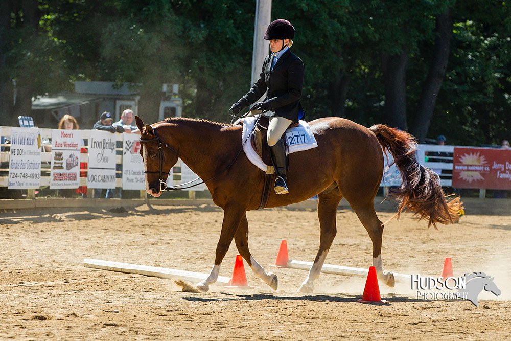 4H-Distr-090713-0754.jpg