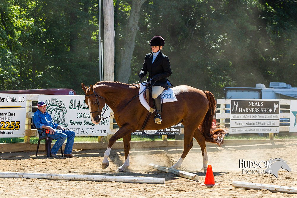 4H-Distr-090713-0755.jpg
