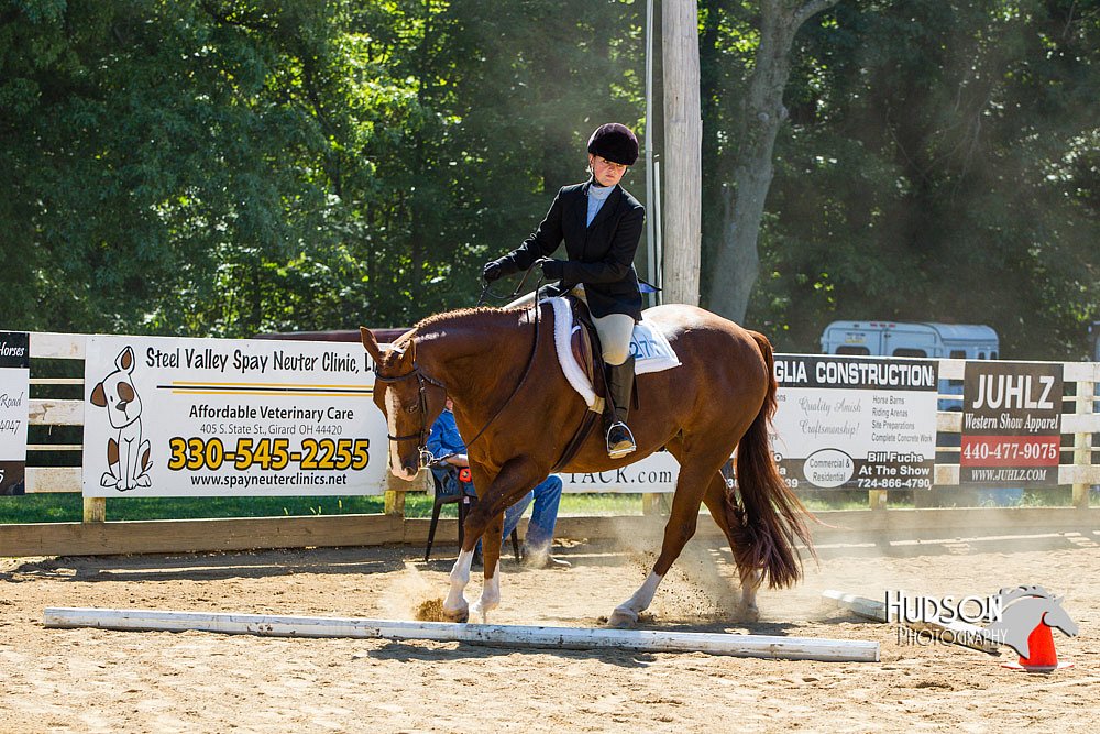 4H-Distr-090713-0756.jpg