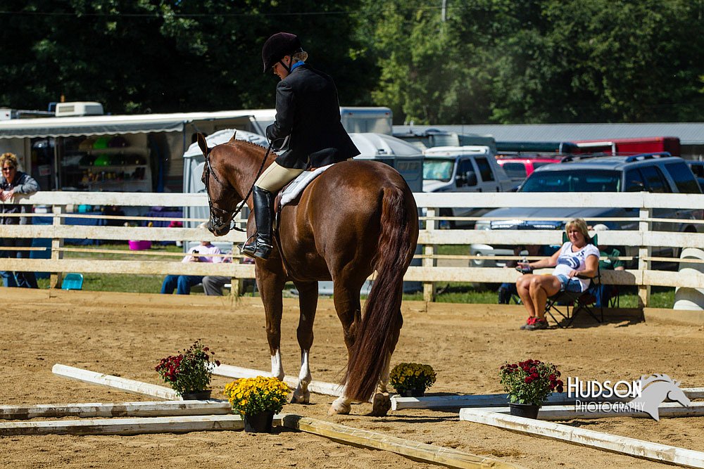 4H-Distr-090713-0758.jpg